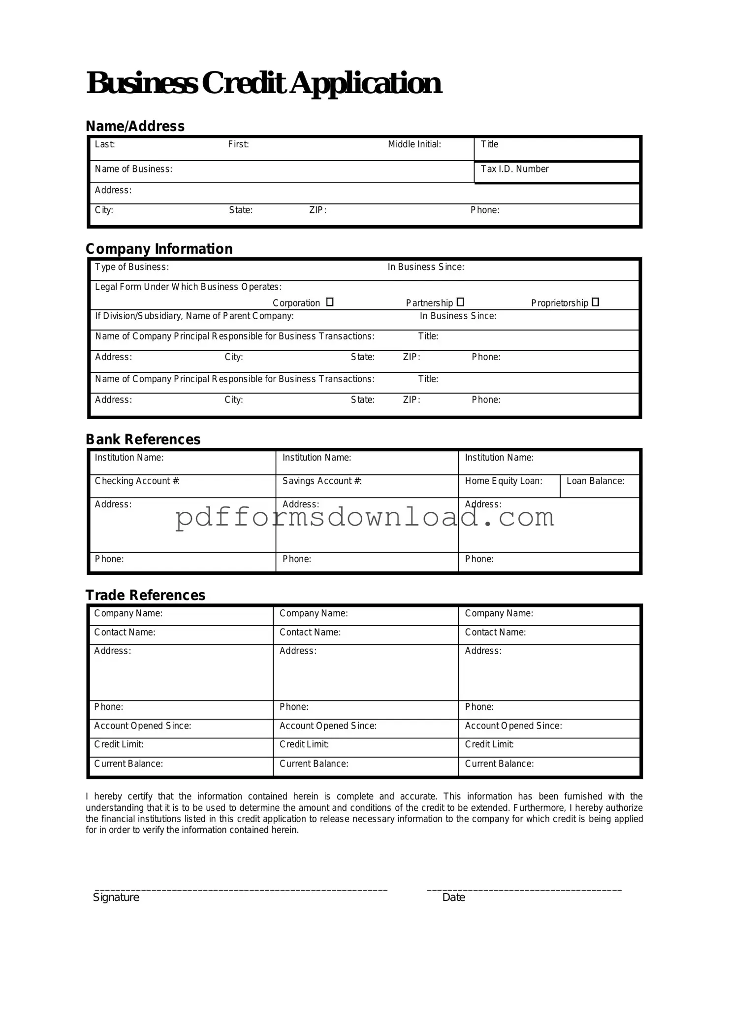 Download Business Credit Application Template