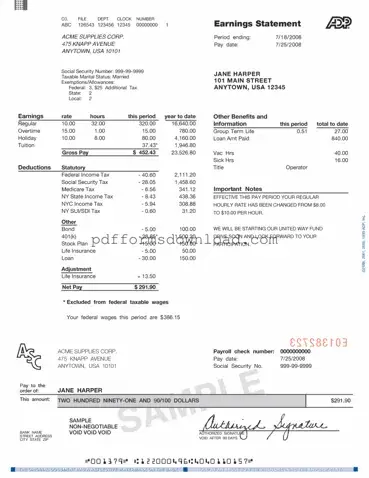 Download Adp Pay Stub Template