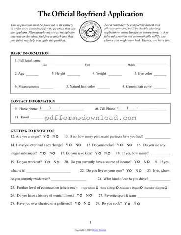 Download Boyfriend application form Template