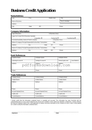 Download Business Credit Application Template