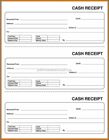 Download Cash Receipt Template