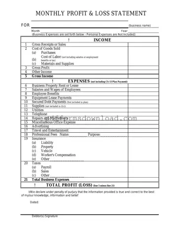 Download Profit And Loss Template