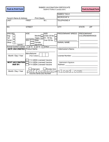 Download Rabies Certificate Template