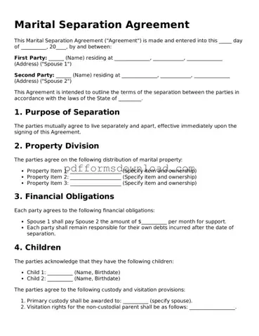 Official Marital Separation Agreement Document