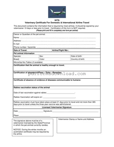 Download Veterinary Certificate Travel Template